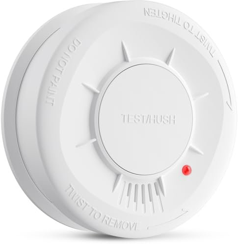 LIORQUE Détecteur de Fumée, Capteur 10 Ans, Pile Remplaçable 5 Ans de Batterie, Bouton Test/Silence, 85 DB, Conforme à la Norme EN14604, Blanc, 1 unité