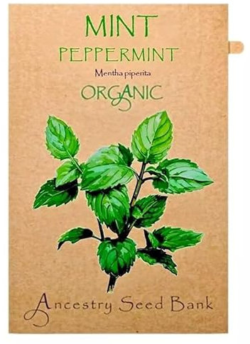 Organic Mint ❁ Peppermint ❁ x200 Seeds Heirloom Herbs - Non GMO