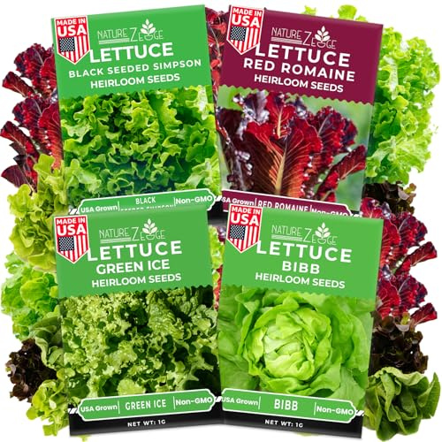 Semi di lattuga per la semina, Lattuga rossa romana, Lattuga al burro Bibb, Simpson a semi neri, Lattuga iceberg con ghiaccio verde, Non OGM..