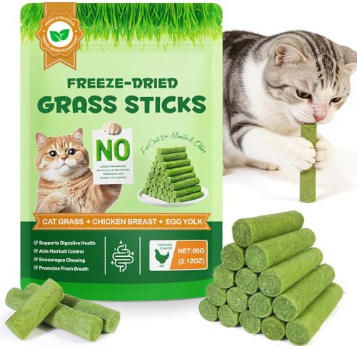 Katzengras Snack, Katzengras Sticks, Katzengras Gefriergetrocknet, Gefriergetrocknetes Verfahren, das Frische und Nährstoffe bewahrt, für die Zahnpflege und Haarknäuel Entfernen