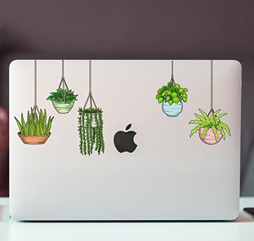 United by Color Plant Stickers (5pcs) - Strong Adhesive Waterproof Succulent Stickers - Do not Fade, Used for Notebook, Laptop, MacBook, Scrapbook, Ipad, Water Bottle