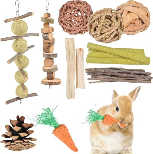 Jouets pour Petits Animaux, 10 Pièces Jouets à Mâcher pour Lapin Nain, Jouet à Mâcher en Bois Naturel pour Hamster, pour Le Soin des Dents, Jeux pour Lapin Chinchilla Hamsters Rat et Gerbille