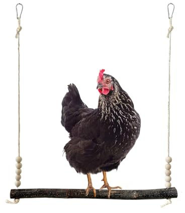 Altalena in legno di pollo - Giocattolo per macinare la di gallina in legno | Giocattoli per l'arricchimento delle galline - per gli amanti degli animali, allevatori, agricoltori, rifugi, frutte
