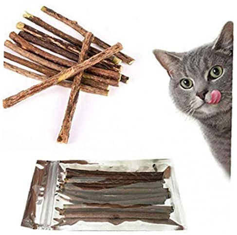 Zonster 20 st naturliga kattmynta pinnar katt kattmynta leksaker Matatabi Silvervine tuggpinnar tandgodis tänder slipning tuggleksaker