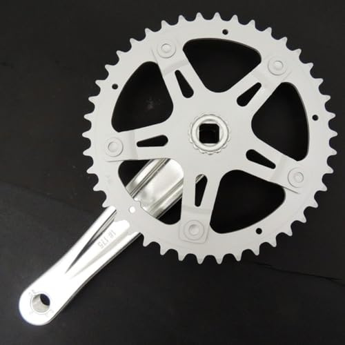 Axorafow Guarniture removibili per 36t/40t/42t con interfaccia singola, per biciclette con perno JIS affusolato, a sezione quadrata, per cambio velocità da mountain bike, con 170 mm, in acciaio (40T)