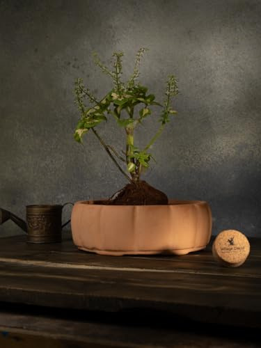 Village Decor Pot de fleurs rond en terre cuite pour bonsaï – Diamètre 20,3 cm