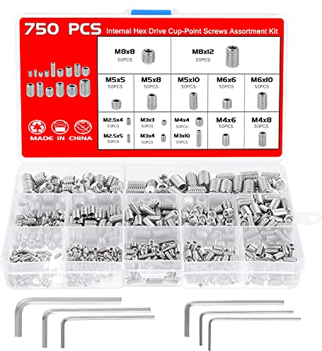 Faankiton 750 Pièces Vis Sans Tête Hexagonale M2.5 M3 M4 M5 M6 M8, Vis à Tête Conique 15 tailles, Vis Filetée Internes, Vis Hexagonales Internes, Vis Sans Tête Vis Pointeau avec 6 Clé Allen (argent)