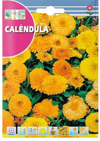 Jardín Lleno de Color con Caléndula – Semillas de Caléndula para Maceta, Terraza o Parterre DECOALIVE