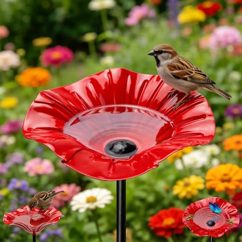 Abreuvoir Oiseaux Exterieur sur Pied, Abreuvoir Abeilles et Insectes