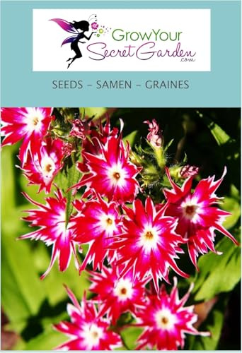 Grow Your Secret Garden 11