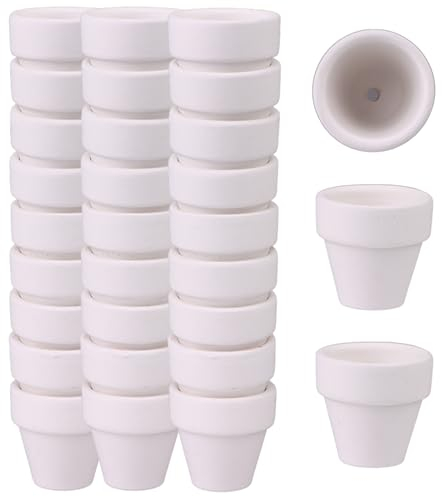 ULELE 30Pcs Tiny Ceramic Flower Pots 1.2 Inch with Drainage Holes White Terracotta Pots-ss Dollhouse Succulent Pot-s Mini Clay Pot-s Small Pot for Garden,Plants,Crafts,Wedding Favor,Office Desk