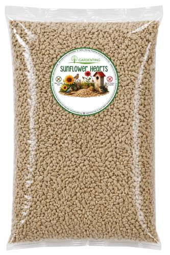 Sunflower Hearts 5L Refill, Wild Bird Food, Seed | High Quality, Carefully Selected, Rich in Essential Nutrients, Promotes Bird Health