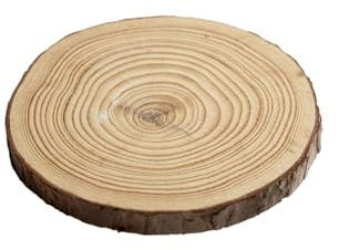 Base Rotonda di Legno con Corteccia per il Calco Mani Coppia - Dischi di Legno Naturale - Ideale per il Tuo Calco delle Mani - Diametro 15.5 cm - Utlizzabile anche come Centrotavola, Portapiante