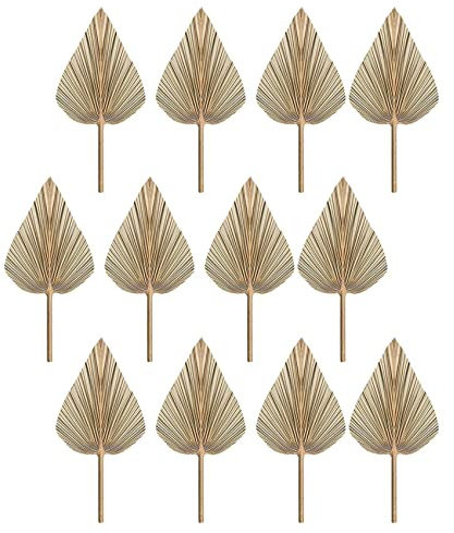 Reinscer 12 hojas secas de palma, abanicos secos, lanzas de palma secas bohemias, plantas costeras, hojas de palma tropicales