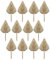 Reinscer 12 hojas secas de palma, abanicos secos, lanzas de palma secas bohemias, plantas costeras, hojas de palma tropicales