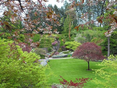 1000 Piece Jigsaw Puzzles for Adults Jigsaw Puzzle -Canada,twigs,design 75x50cm