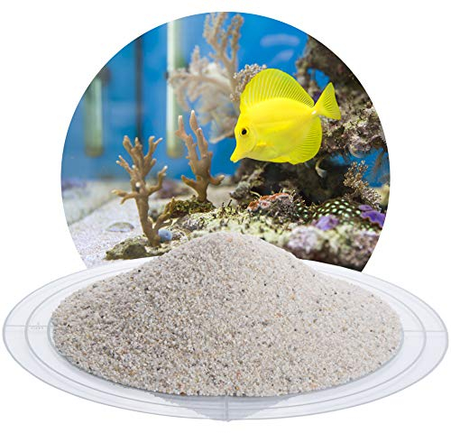 Schicker Mineral Aquariumsand weiß 25 kg, feiner Aquariumkies gewaschen, ungefärbt, kantengerundeter Bodengrund, Kies für Süßwasseraquarien, Meerwasseraquarien, Aquascaping (Ø Körnung: 0,71-1,25 mm)