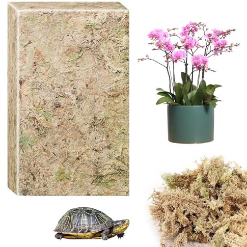 CONNECTION 190g Naturale Sfagno Muschio Secco Muschio di Sfagno per Piante Natural Fotrest Moss Sfagno Vivo per Idrocolture Bonsai Orchidee Giardino Decorazione Terrario Rettili