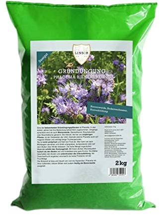 Linsor Phacelia Samen, Bienenfreund, Humusbildung, Blühwiese, 2kg für 400m²