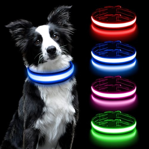 AUAUY LED Collier Lumineux pour Chiens, Lumière Collier Chien Rechargeable et Etanche, Collier de Réglable avec 3 Modes d'éclairage pour Moyens Chiens(Bleu-M)