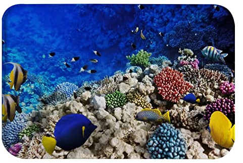 A.Monamour rutschfest Saugfähig Badematte Aquarium Korallen Und Fische Unterwasserwelt Blauer Ozean Weich Flanell Badezimmerteppich Badteppich Badvorleger Badewanne Dusche Duschvorleger 40x60cm