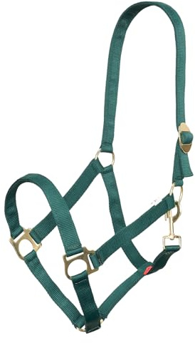 Imperial Riding Headcollar Economic, Heavy Duty 25mm Nylon Halter Adjustable Sliding Buckle, Lobster Claw Strap, Durable & Easy Care for Training, Stable & Everyday Wear, Forest Green, Pony