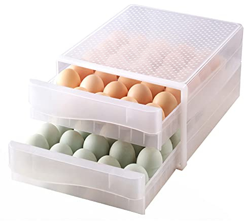 Egg Holder for Refrigerator, THIPOTEN 60 Grid Eggs Storage Container for Refrigerator, Perfect Household Egg Organizer for a Hobby Farm