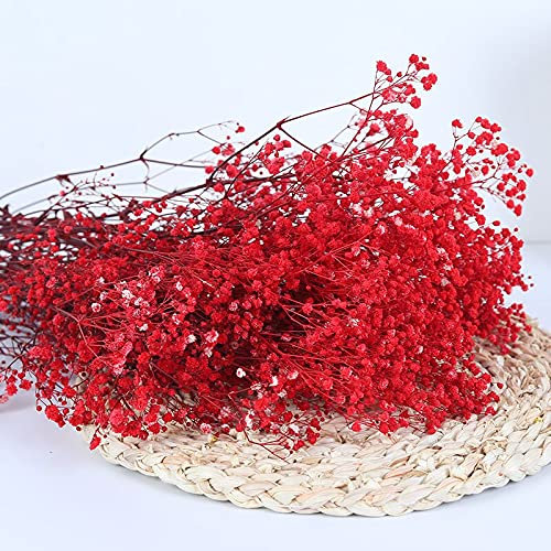 YIWOYI Ramo de flores secas naturales Gypsophila Paniculata preservadas para decoración del hogar y fiestas de boda (rojo, 15-30 cm, 20 g)