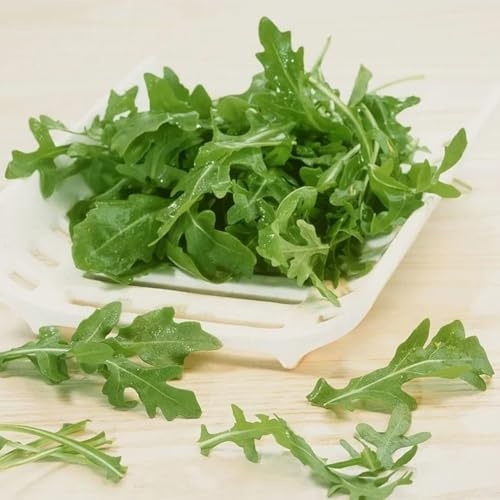 semi di rucola perenne biologica, decorazione da giardino per esterni di rucola resistenti aiuole rialzate per giardino invernali resistenti 400pcs