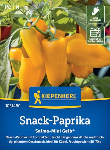 Kiepenkerl Paprikasamen Salma-Mini Gelb® 1031480 – Nasch Paprika - kompakter Wuchs - fruchtig- pikante Früchte - Saatgut, Samen Gemüse, Gemüsepflanzen