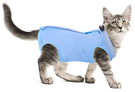Molain Cat Professioneller Erholungsanzug für Bauchwunden oder Hautkrankheiten nach Operationen E Halsband Alternative für Katzen Anti Lecken Pyjama Anzug (Blau, Größe M)