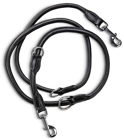 Jack & Russell Premium Leder Hundeleine Dexter 2,0m - Hunde Lederleine, Führleine - Echtleder Leine mehrfach verstellbar Dexter (Schwarz)