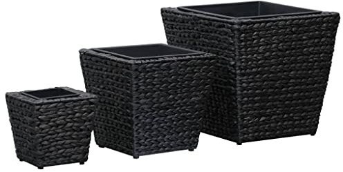 INLIFE Jacinto de agua negro 5573
