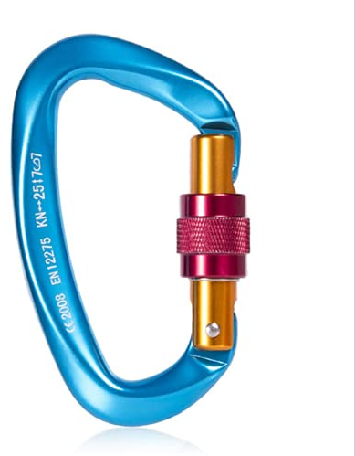 Feloyal Kletterkarabiner, Starker 25 KN Karabinerhaken, D-Form mit Schraubtür für Camping, Hängematten, Schaukel, Angeln, Wasserflasche, Schlüsselanhänger, Hundeleine