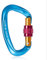 Feloyal Kletterkarabiner, Starker 25 KN Karabinerhaken, D-Form mit Schraubtür für Camping, Hängematten, Schaukel, Angeln, Wasserflasche, Schlüsselanhänger, Hundeleine