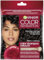 Garnier Color Shampoo Retouch Coloration Permanente Châtain foncé - 100% Couverture Cheveux Blancs - Dure Jusqu'à 4 Semaines