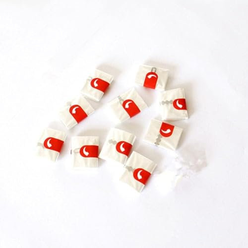 Lot de 10 sacs de cuisson transparents multi-usages résistants à la chaleur pour la cuisson – 24,9 x 37,9 cm, sans désordre pour petits rôtis ou morceaux de dinde et poulet, outils de décoration de