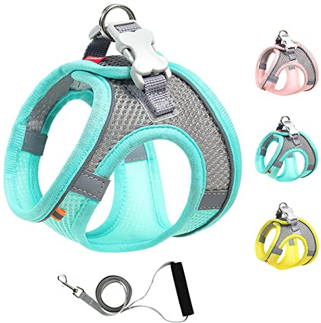 Mitili Arnes Perro Antitirones con Correa, Ajustable Transpirable Reflectantes Cómodo Chalecos Perro, Arnés Juego de Arnés y Correa para Perros y Gatos de Pequeño y Mediano (M, Verde Menta)