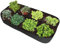 Bolsa rectangular para plantas, bolsa de cultivo de flores - Contenedor para plantas de verduras con 8 compartimentos | Cajas elevadas de verduras, bolsas de plantación para verduras, flores, bolsas