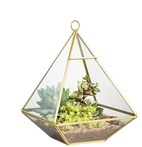 NCYP Wandhalterung Hängende Pyramide Glas Geometrisches Terrarium Fensterbank Tischplatte Sukkulenter Pflanzer Moos Display Box Vase Blumentopf 15 x 15 x 20 cm Gold (Keine Pflanzen enthalten)