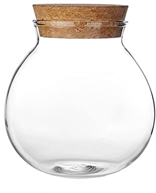 Bamboopack 1 tarro de vidrio redondo transparente de 500 ml con tapón de corcho, contenedor de almacenamiento hermético para té, café, caramelos, galletas, chocolate, alimentos secos, cocina, despensa
