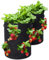 Durdiiy Strawberry Grow Bags 1PC, Bags for Vegetables, 5 Gallon Garden Plant with Handles and Porous, Breathable Nonwoven Fabric Potato Flower/Plant/Fruits/Tomato/Carrot/Onion