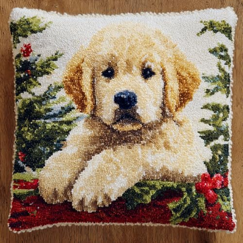 AMBATTERY Kit de cojín de gancho con cierre, Perro animal kit de tejer cojín,gancho de pestillo para principiantes adultos,43x43cm