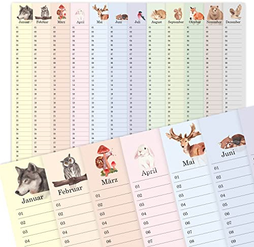 Väggkalender födelsedagskalender alltid med färgglatt skogsmotiv för barn DIN A3 stor, åroberoende för upphängning liggande format ensidig – dv_1161
