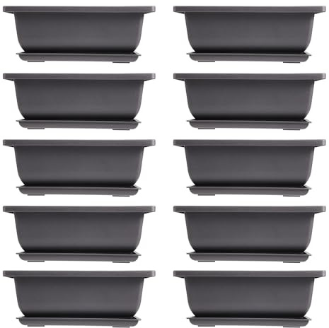 Niejgay 10 Paquetes de Macetas de Entrenamiento de BonsáI con Bandeja Plantas de BonsáI de PláStico Maceta de Cultivo para JardíN Patio Sala de Estar BalcóN 16.5X12Cm