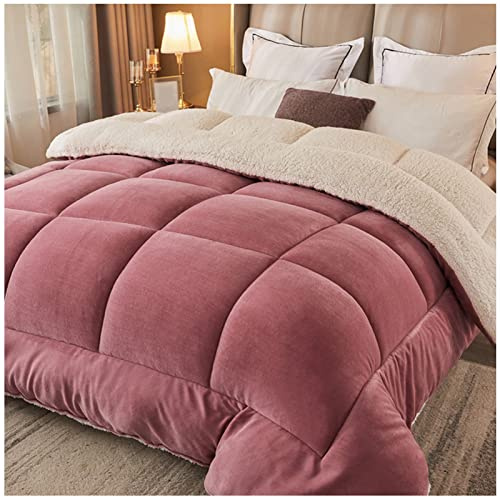 RRNAR Piumino Matrimoniale Invernale Caldo Piumone, Trapunta Invernale in Lana di Agnello, Coperta Matrimoniale Queen Size Singola Doppia Cashmere, Lavabile in Lavatrice,C,220x240cm(5kg)