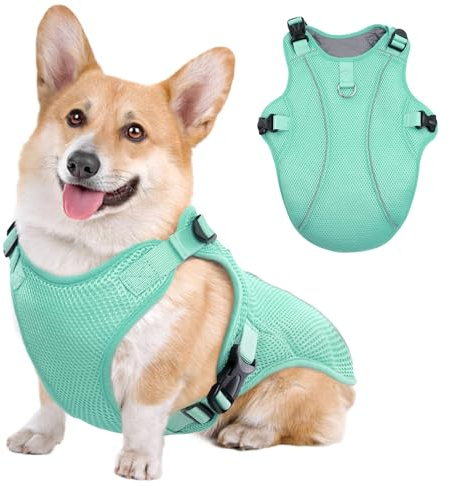 Kuoser hund kylväst, andningsbara coola kappjackor för hundar, reflekterande sele, hund sommar nödvändigheter M