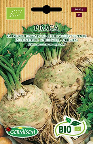 Germisem Biologico Praga Semi di Sedano 2 g