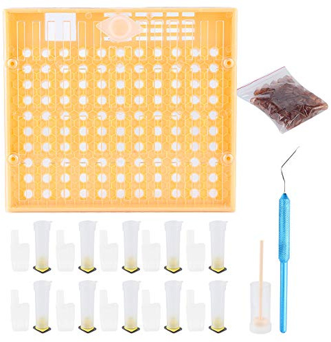 Plastbi -cellkoppar kit drottning uppfödningssystem odlar box drottning bur biodling verktyg utrustning