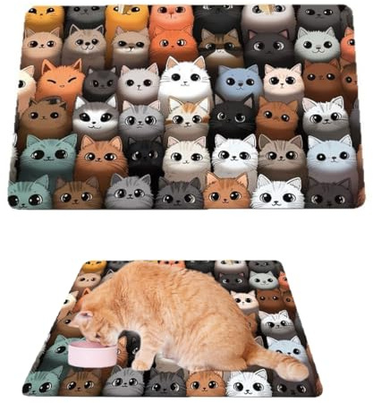 DOKRIN Tappetini sottociotola per cani,Tappetino da bagno in fango diatomea per animali domestici, antiscivolo, resistente all'usura (30 * 50 cm)